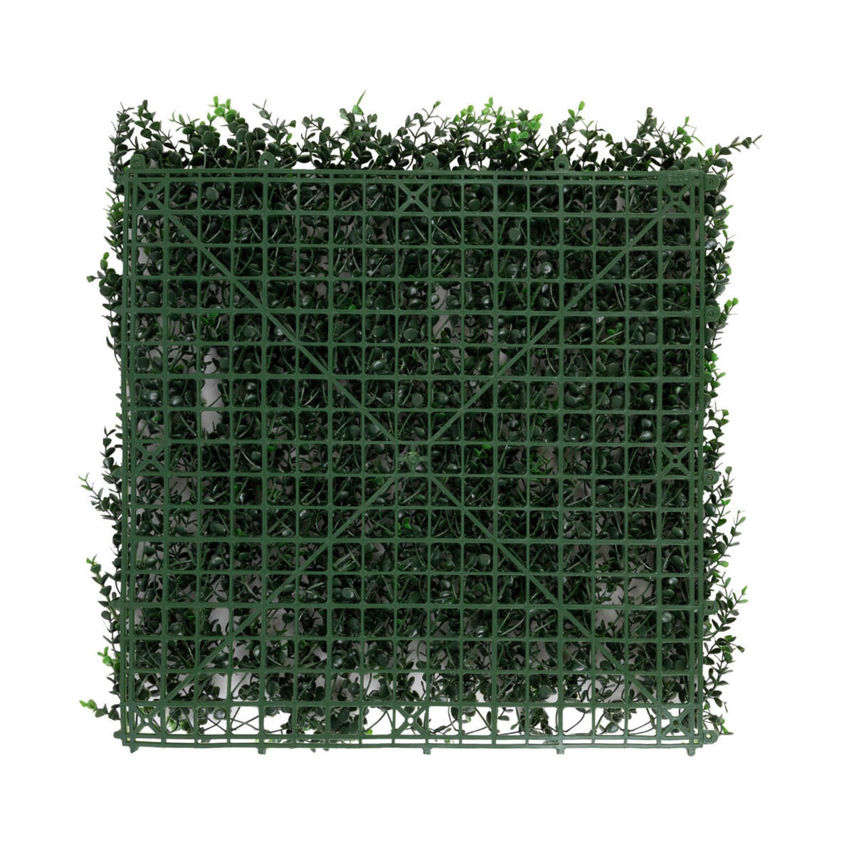 WANDVERKLEIDUNG  - Waldgrün, Trend, Kunststoff (50/50cm) - Floordirekt