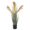 DEKORAČNÁ TRÁVA, 68 cm - hnedá/zelená, Basics, kov/plast (68cm) - Ambia Home
