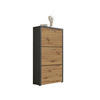 SCHUHKIPPER Siena  in 61/115/25 cm  - Anthrazit/Silberfarben, MODERN, Holzwerkstoff/Kunststoff (61/115/25cm) - MID.YOU