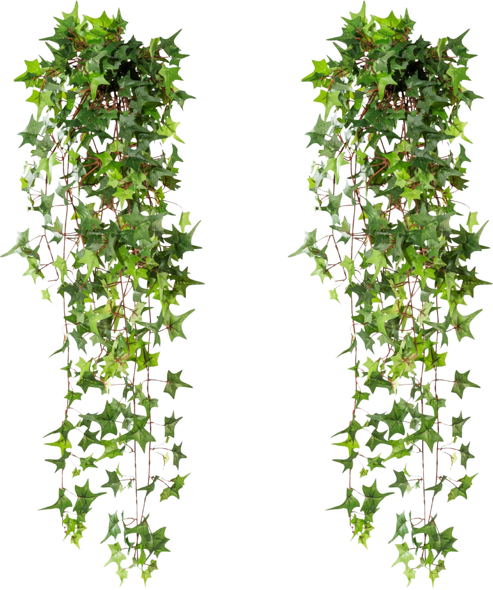 KUNSTPFLANZE Efeu 90 cm  - Grün, Design, Kunststoff (90cm) - P & B
