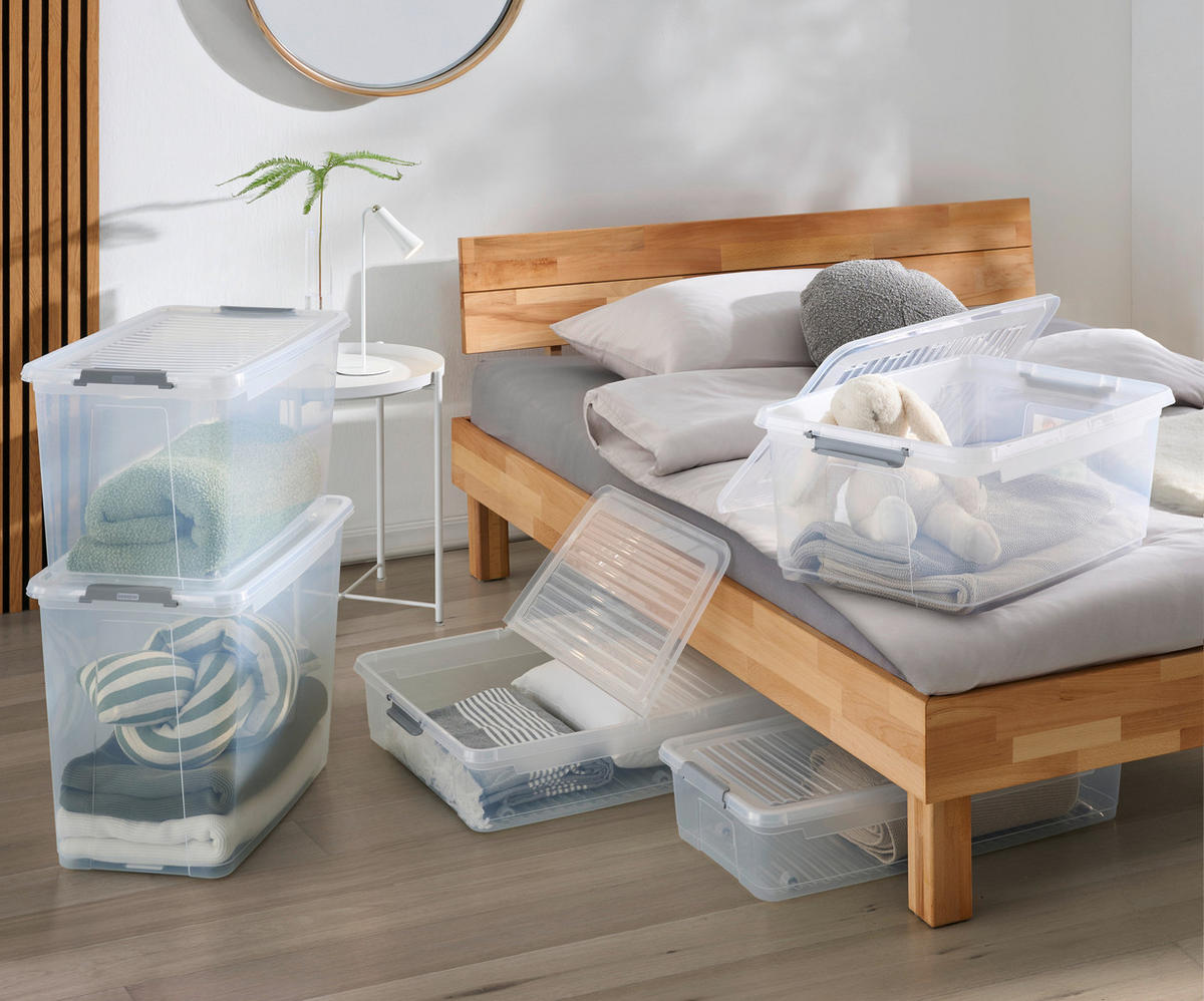 Cutie Pentru Depozitare     - transparent, Basics, plastic (38/24/59cm)