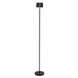 AKKU-STEHLEUCHTE 16/120 cm    - Schwarz, Design, Kunststoff/Metall (16/120cm) - Dieter Knoll