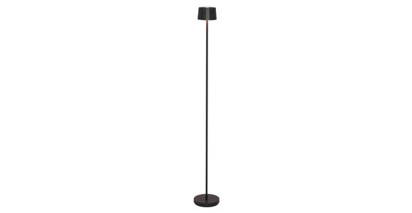 AKKU-STEHLEUCHTE 16/120 cm - Schwarz, Design, Kunststoff/Metall (16/120cm) - Dieter Knoll