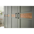 DREHTÜRENSCHRANK 250/216/60 cm,  in Salbeigrün, Eiche Bianco, 5-türig  - Eiche Bianco/Salbeigrün, LIFESTYLE, Holzwerkstoff/Metall (250/216/60cm) - Landscape