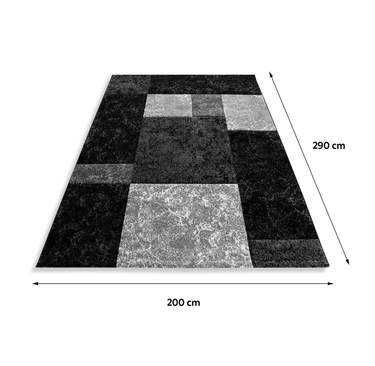 WEBTEPPICH 200/290 cm Hawaii 1330 Schwarz  - Schwarz, KONVENTIONELL, Textil (200/290cm) - Novel