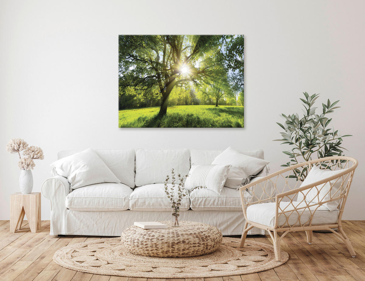 KEILRAHMENBILD Bäume 135/100 cm  - Multicolor, Natur, Holz/Papier (135/100cm)