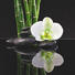 GLASBILD - Multicolor, KONVENTIONELL, Glas (50/50/2cm) - EUROGRAPHICS