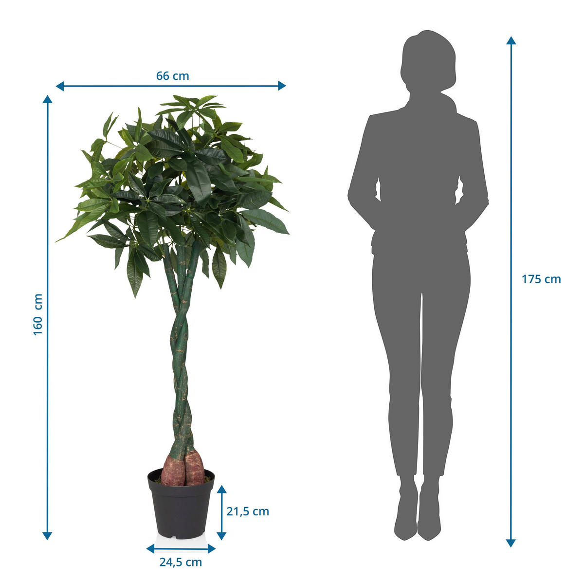 UMĚLÁ ROSTLINA pachira aquatica  - černá/zelená, Moderní, plast (66/160/77cm) - MID.YOU