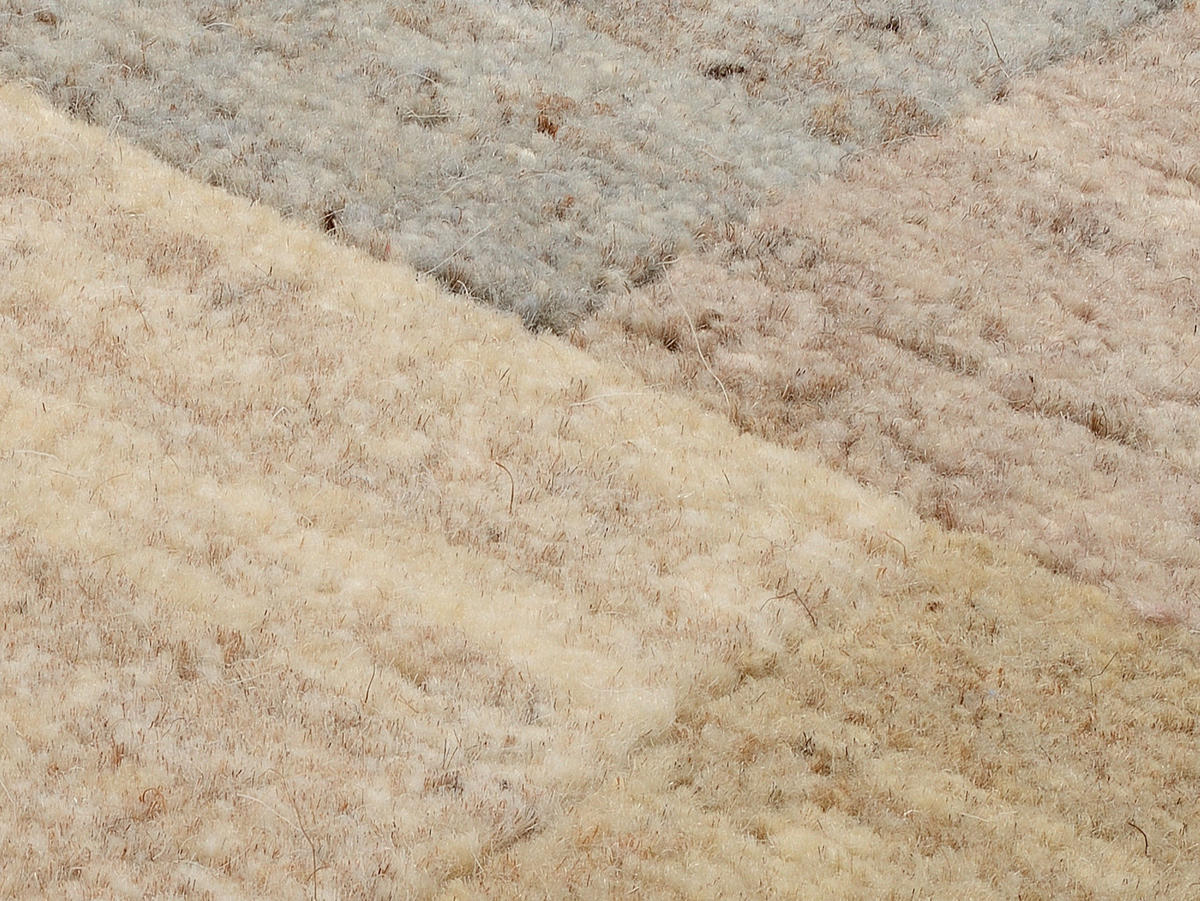 WOLLTEPPICH 250/300 cm Gelb  - Gelb, Design, Textil (250/300cm) - Cazaris