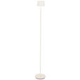 AKKU-STEHLEUCHTE 16/120 cm    - Weiß, Design, Kunststoff/Metall (16/120cm) - Dieter Knoll