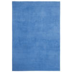 HOCHFLORTEPPICH Cosy  Cozy  - Blau, KONVENTIONELL, Textil (67/110cm) - Boxxx