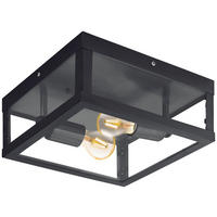 ZUNANJA STROPNA SVETILKA  Alamonte   29/29/13 cm          - črna/barve cinka, Trendi, kovina/steklo (29/29/13cm)