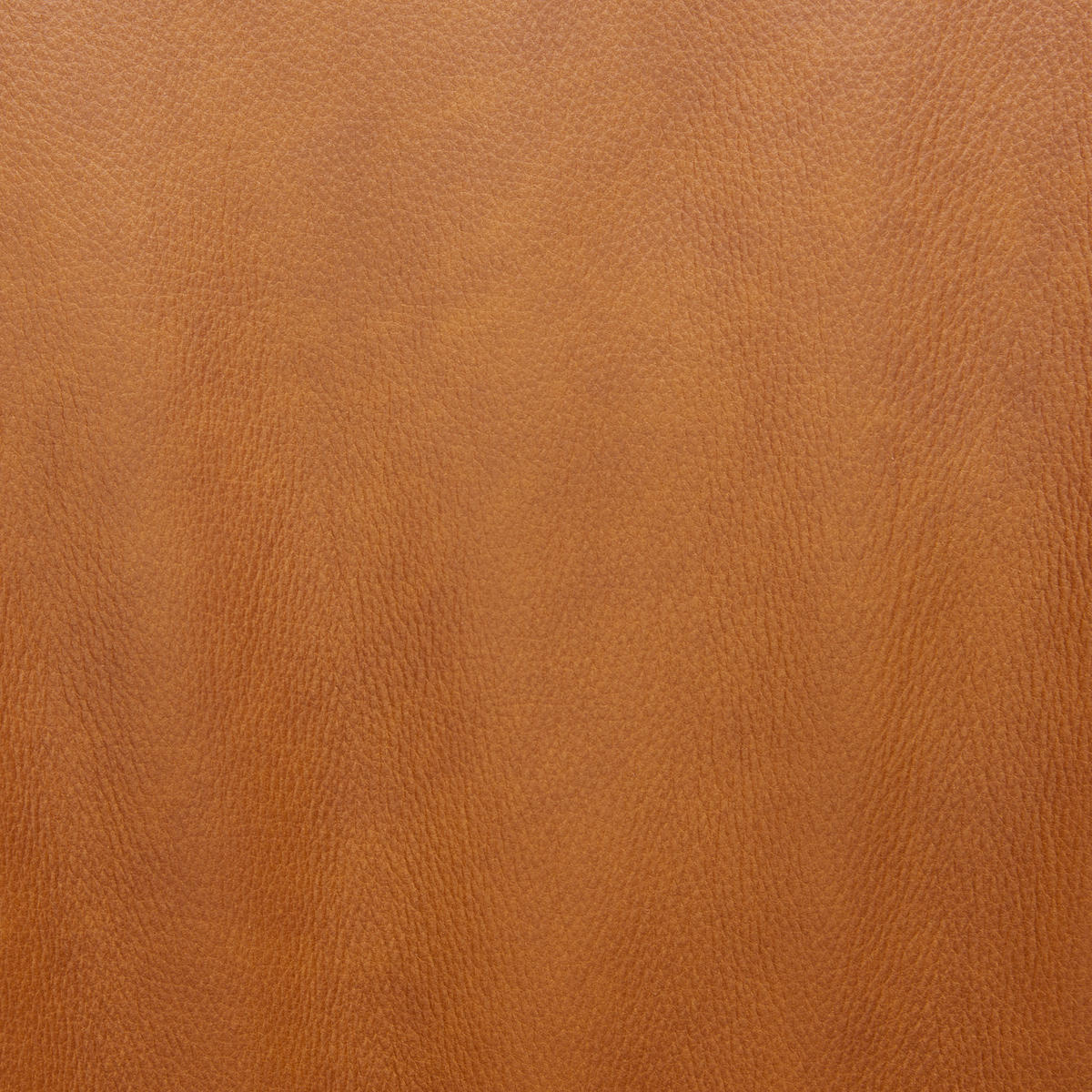 ARMLEHNSTUHL  in Echtleder gewachst  - Anthrazit/Bernsteinfarben, Design, Leder/Metall (60/87/62cm) - Bert Plantagie