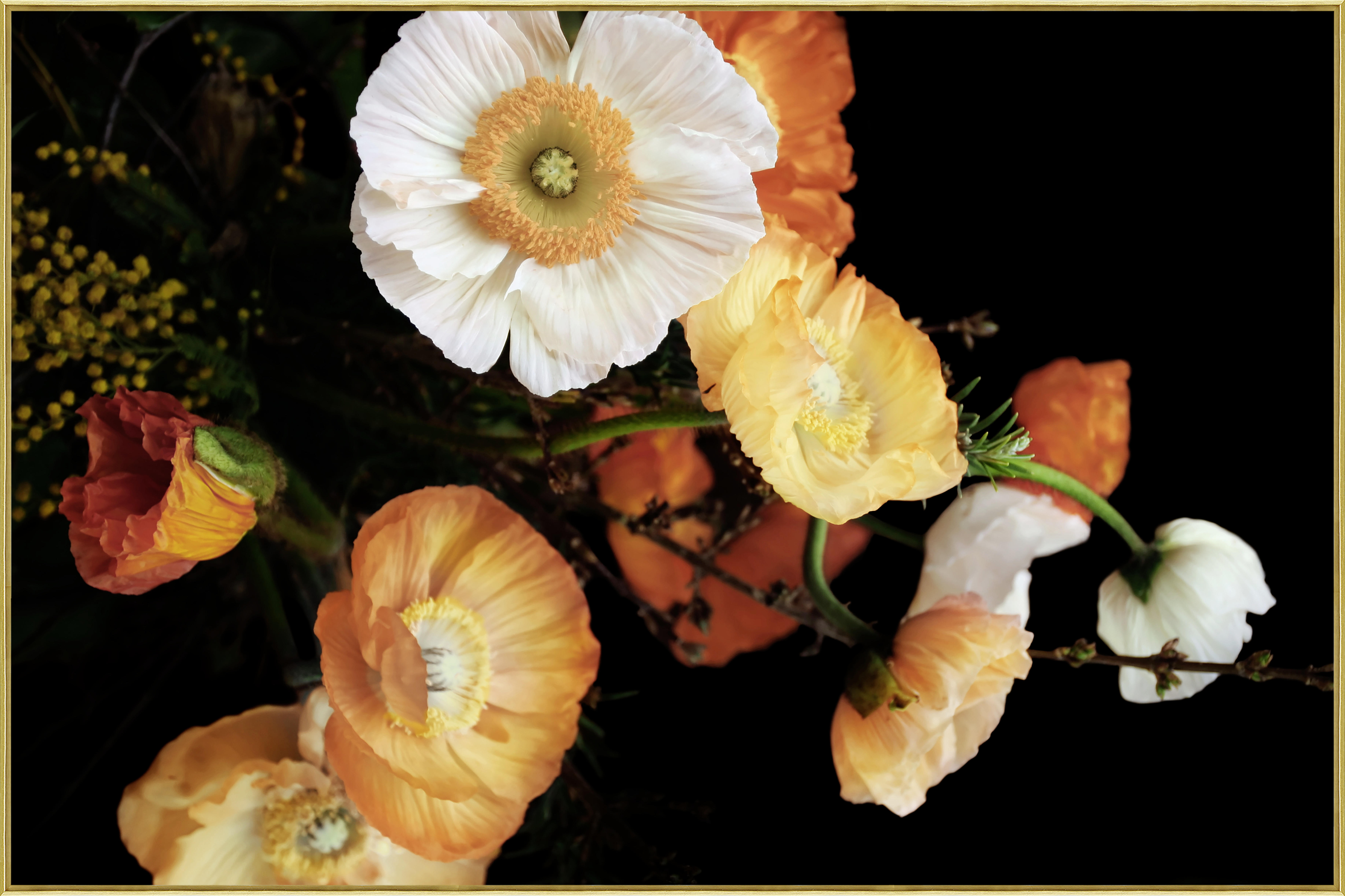 SKLENENÝ OBRAZ, kvety, 120/80 cm  - oranžová/čierna, Trend, plast/papier (120/80cm) - Monee