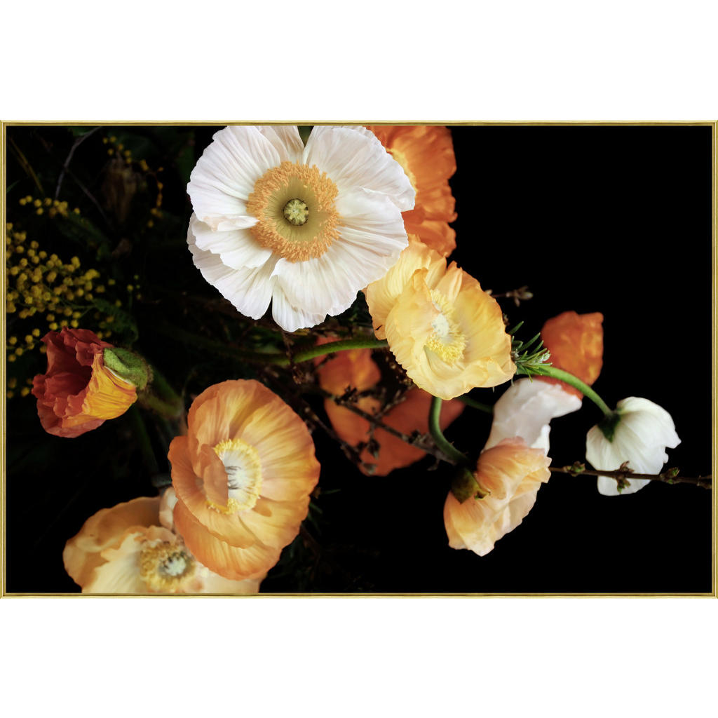 Monee OBRAZ NA SKLE, květiny, - oranžová,černá,bílá