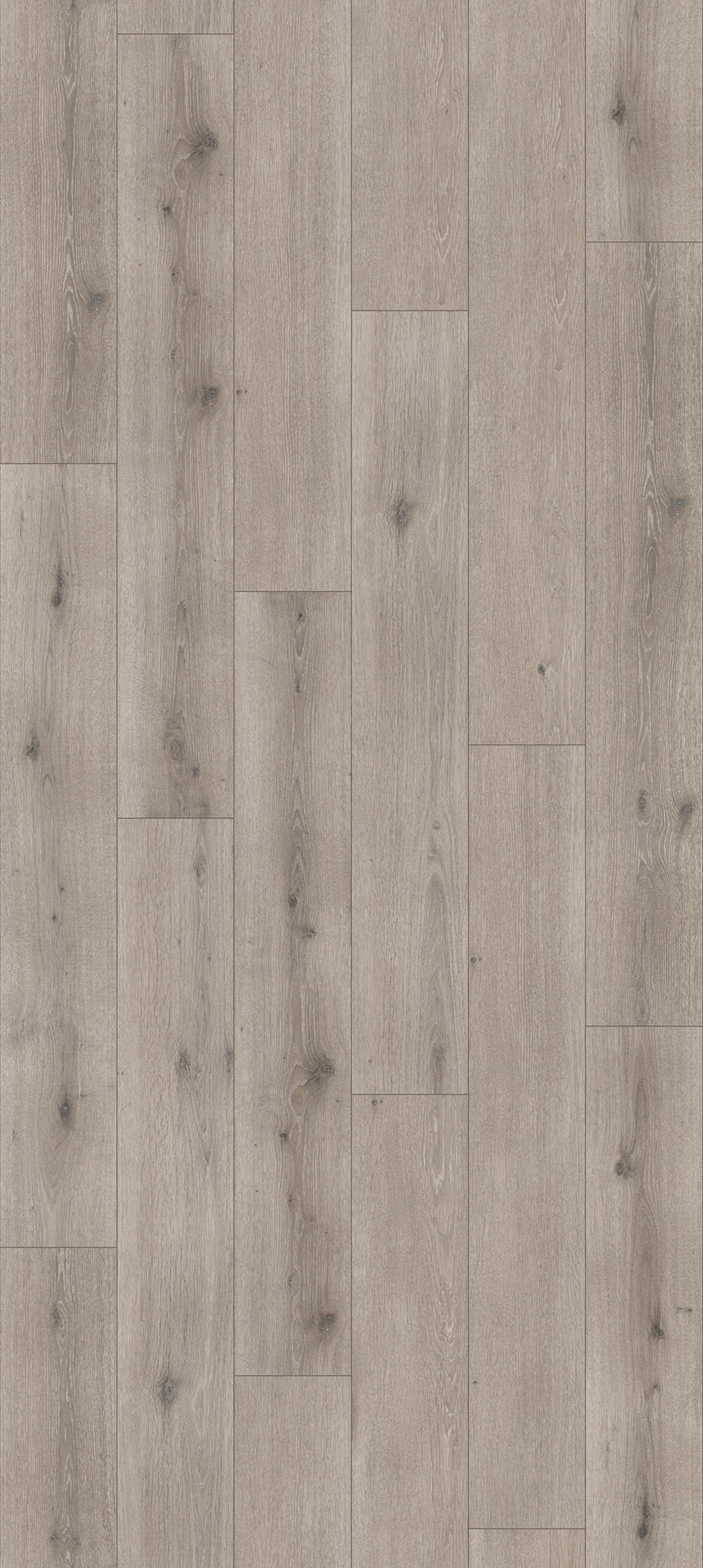 DESIGNBODEN MODULAR ONE 1730771  per  m² - Eichefarben/Hellgrau, Basics, Holz/Kunststoff (128,5/19,4/0,8cm) - Parador
