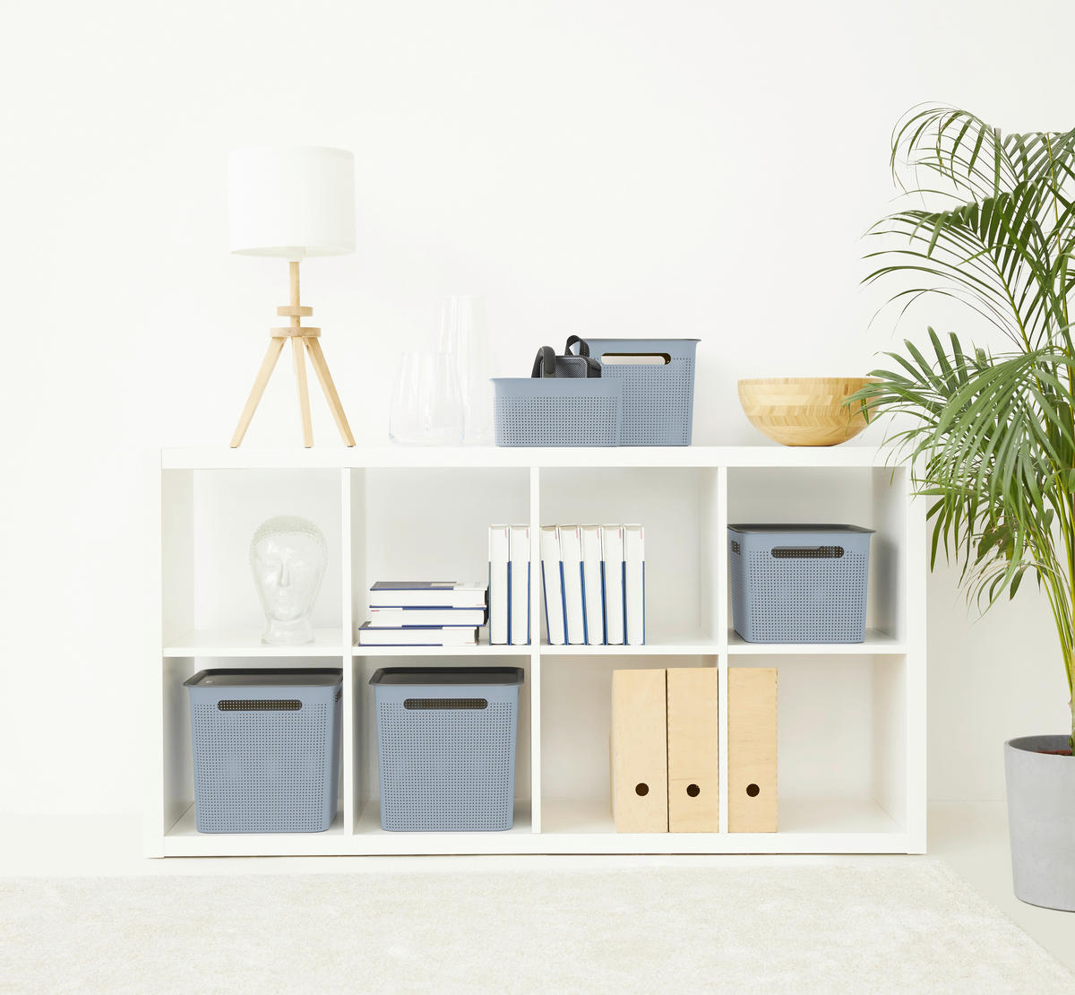 BOX     - Pastellblau, KONVENTIONELL, Kunststoff (18/21,1/26,2cm) - Rotho