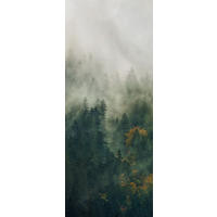 NON WOVEN-TAPET 100/250 cm  - grön, Basics (100/250cm) - Komar