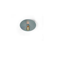LED-DECKENLEUCHTE  24/6,5 cm    - Salbeigrün, Basics, Metall (24/6,5cm) - BOPP