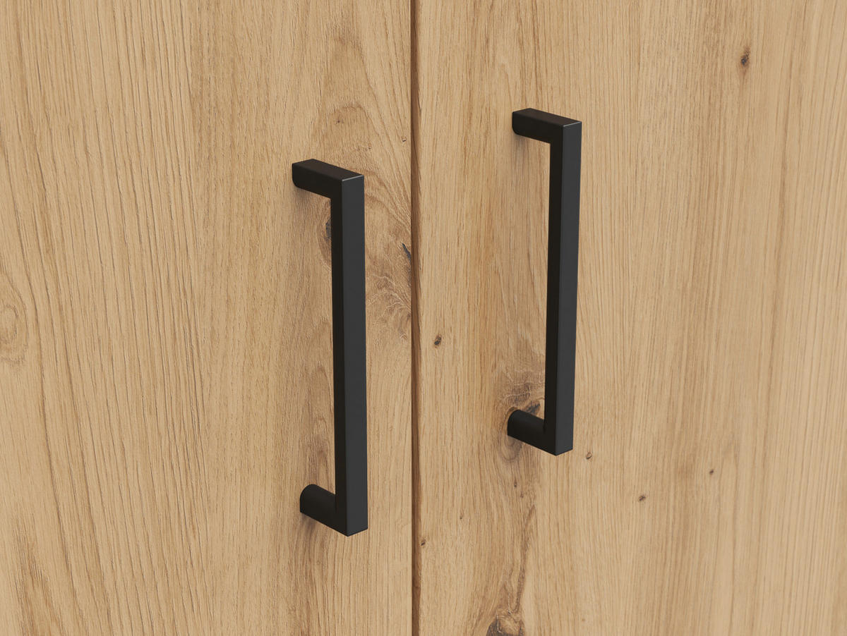 VÍCEÚČELOVÁ SKŘÍŇ, dub artisan, 80/195/52 cm - černá/antracitová, Moderní, kompozitní dřevo/plast (80/195/52cm) - Carryhome
