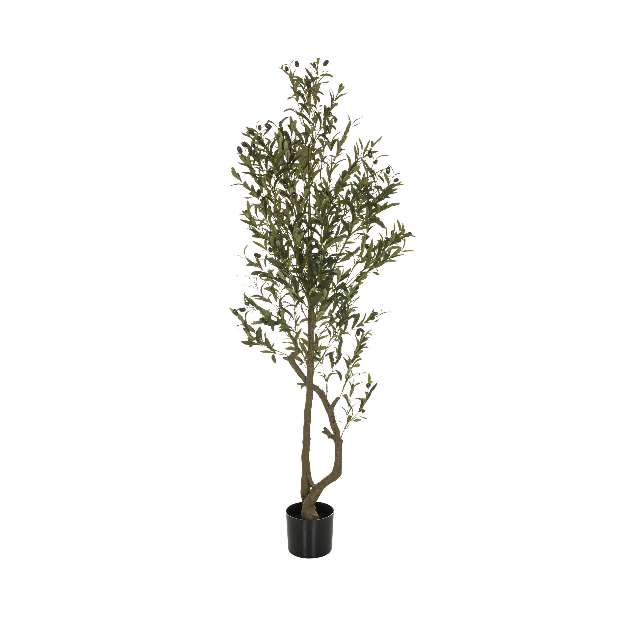 KUNSTPFLANZE Olive  - Schwarz/Braun, Basics, Kunststoff (50/172/50cm) - MID.YOU