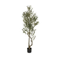 KUNSTPFLANZE Olive  - Schwarz/Braun, Basics, Kunststoff (50/172/50cm) - MID.YOU