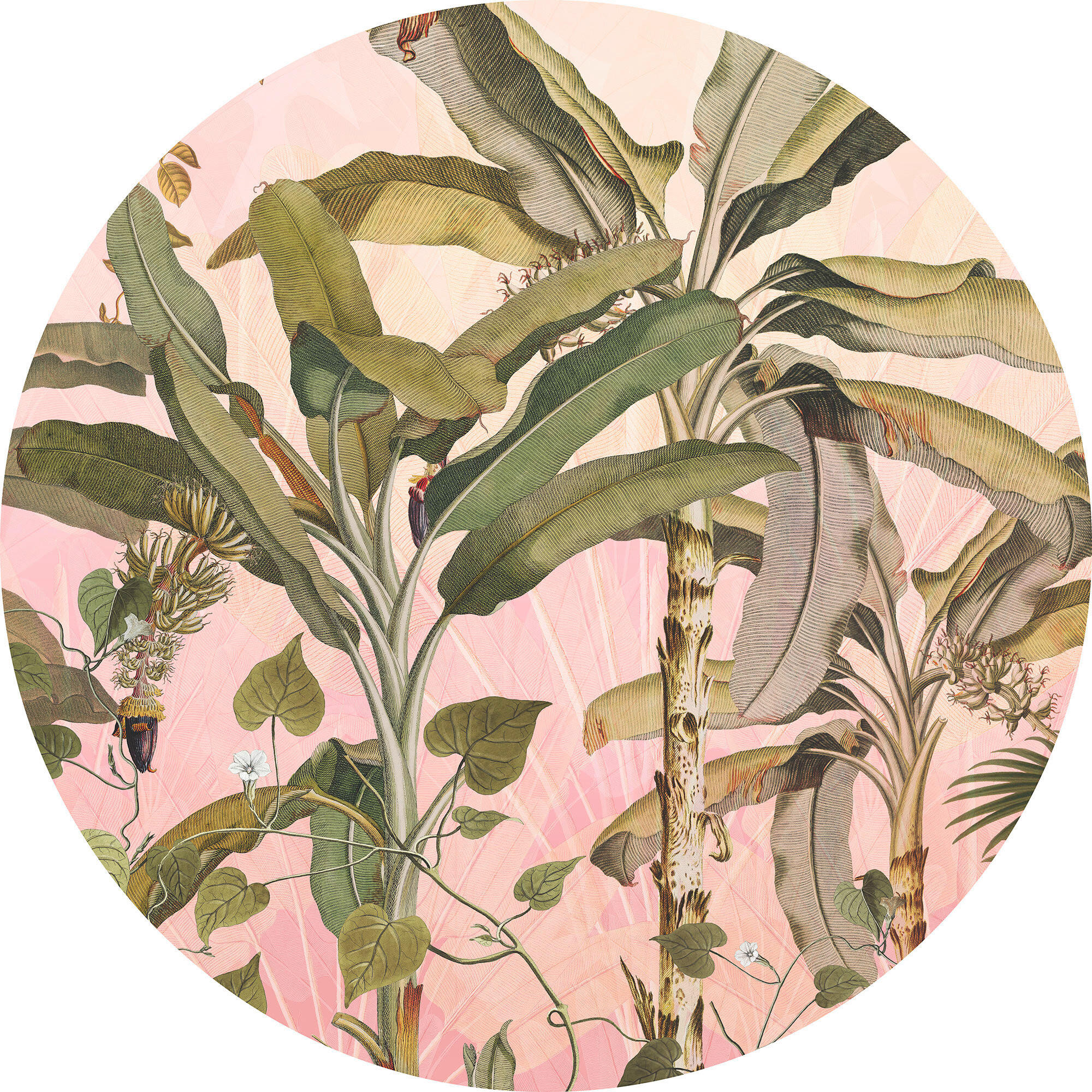 FOTOTAPETE  - Rosa/Grün, Trend, Papier (125cm) - Komar
