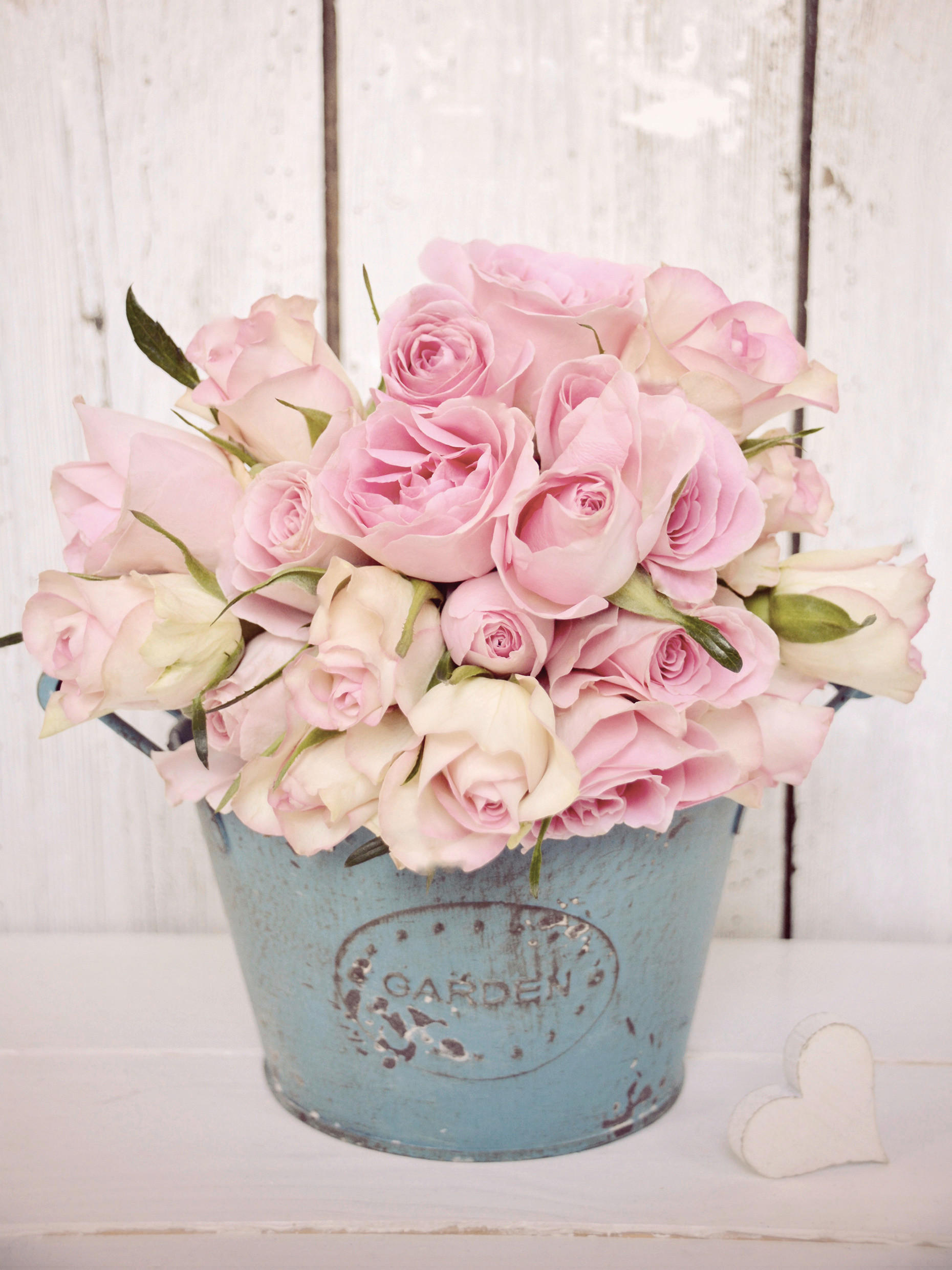 Euroart MALBA NA PLÁTNĚ, květiny, 30/40 cm