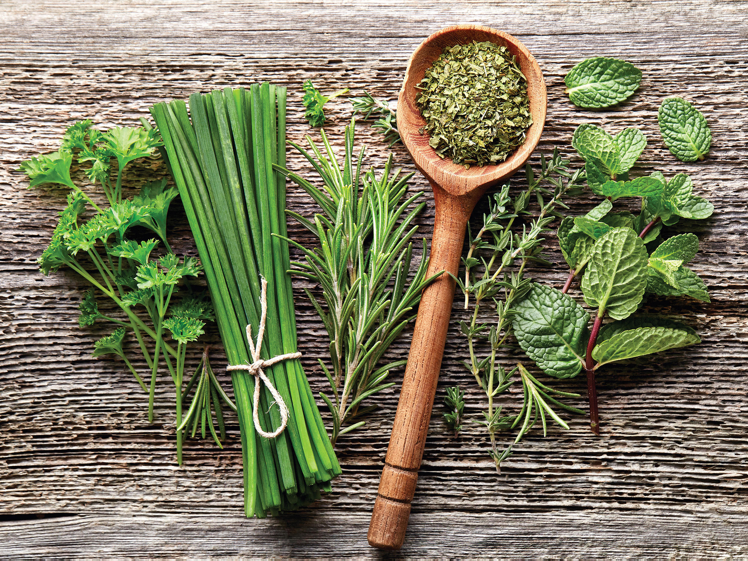 Euroart MALBA NA PLÁTNĚ, jídlo a pití, 30/40 cm