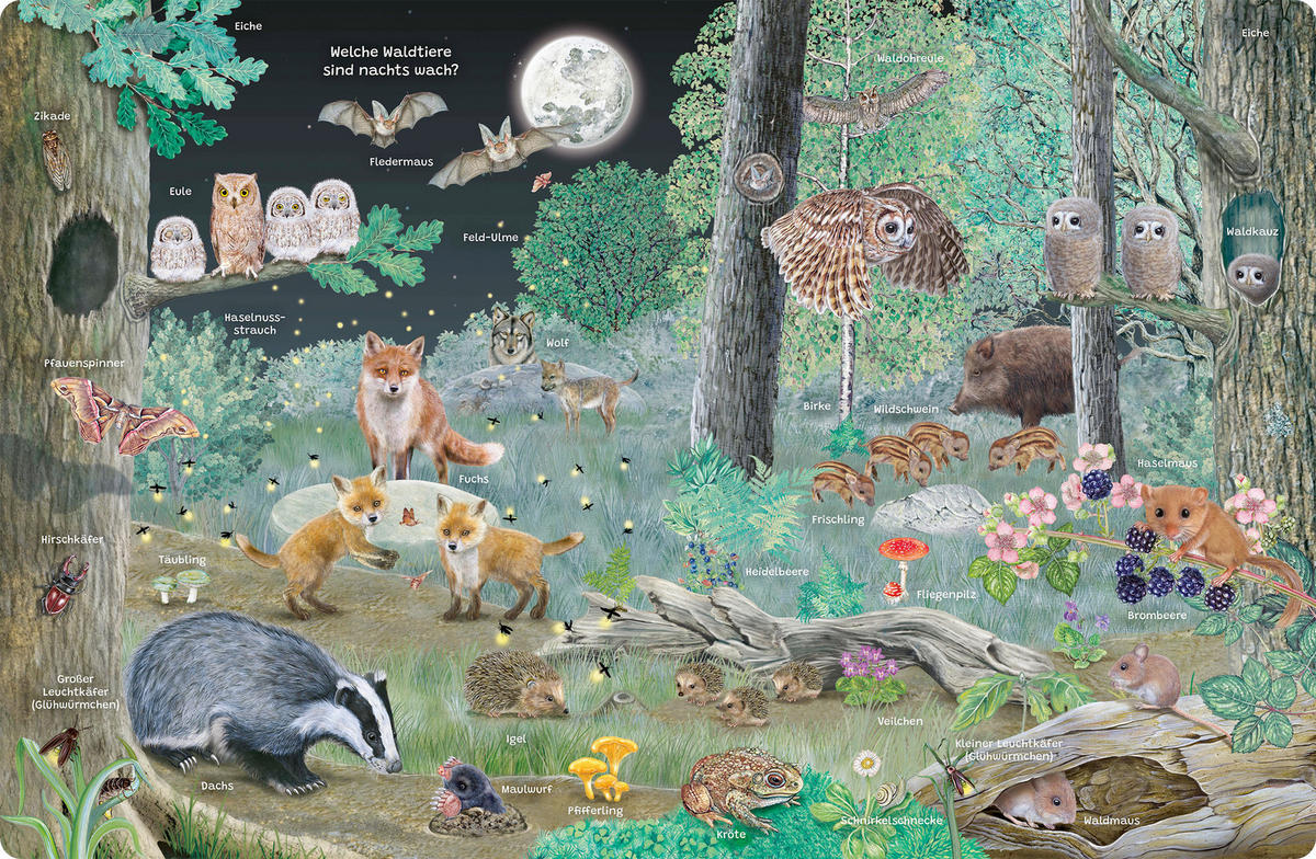 BUCH - Multicolor, Basics, Papier (24,5/32/1,4cm)