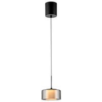 ZÁVĚSNÉ LED SVÍTIDLO, 15/220 cm  - černá, Design, kov/plast (15/220cm)