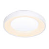 STROPNA LED-SVETILKA   40 W/4300 lm/2700-6500 K/220-240 V/ - bela, Basics, kovina/umetna masa (50/8,5cm) - Novel