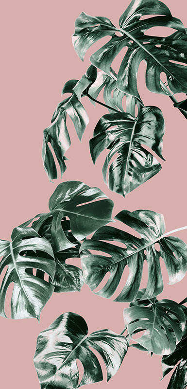 VLIESTAPETE - Rosa/Grün, Basics (100/250cm) - Xora
