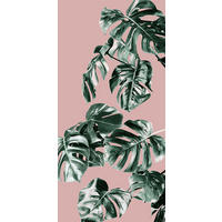 NON WOVEN-TAPET 100/250 cm  - grön/rosa, Basics (100/250cm) - Komar