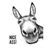 POSTER 40/50 cm  - Multicolor, LIFESTYLE, Papier (40/50cm) - Reinders!