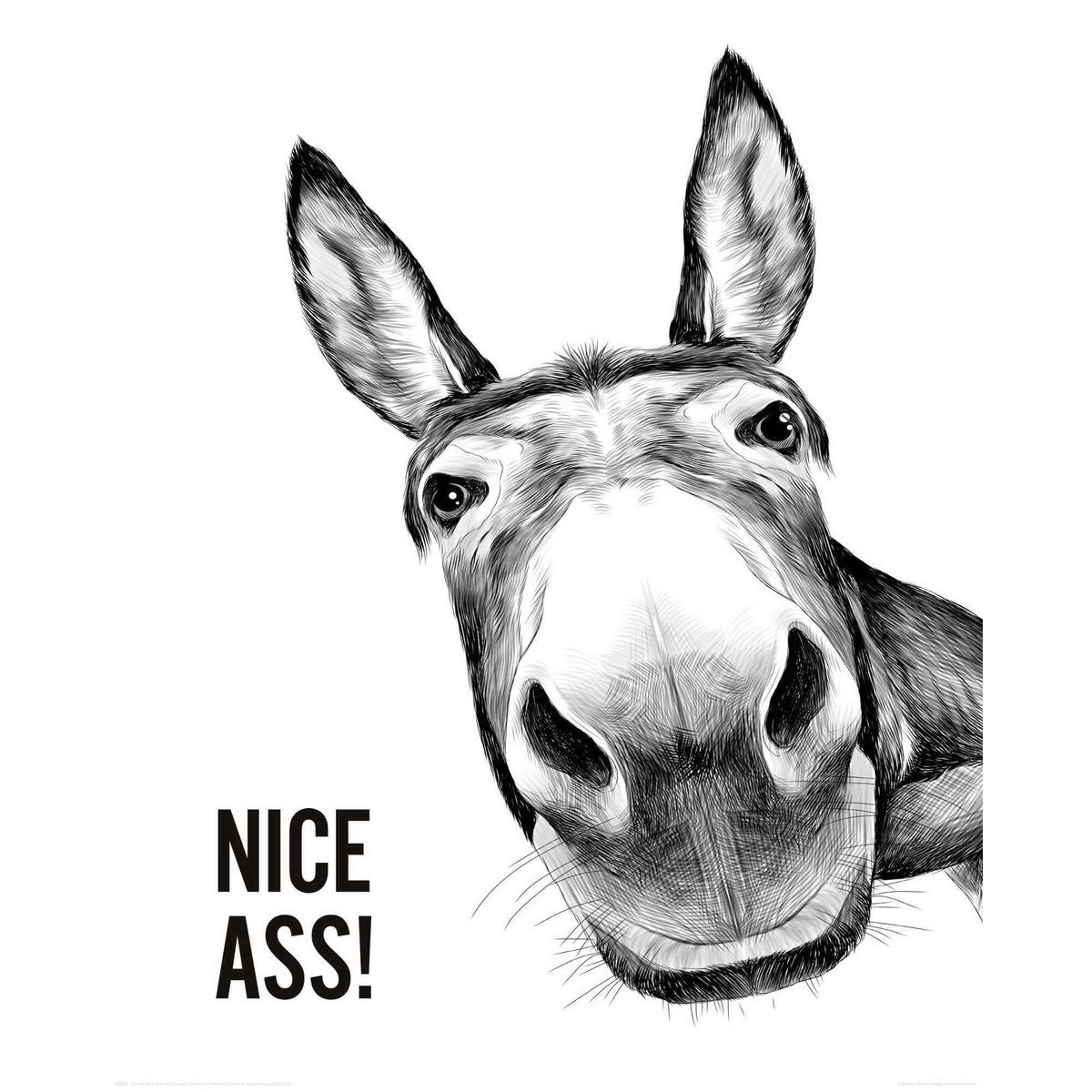 POSTER 40/50 cm  - Multicolor, LIFESTYLE, Papier (40/50cm) - Reinders!