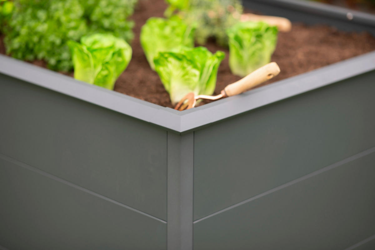 HOCHBEET Primus  - Anthrazit, KONVENTIONELL, Metall (100/200/77cm) - Ambia Garden