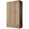 DREHTÜRENSCHRANK  in Sonoma Eiche  - Alufarben/Sonoma Eiche, KONVENTIONELL, Holzwerkstoff/Kunststoff (121/176/51cm) - Carryhome