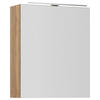SPIEGELSCHRANK 60/72/21 cm  - Eichefarben/Alufarben, MODERN, Glas/Holzwerkstoff (60/72/21cm) - Nobilia