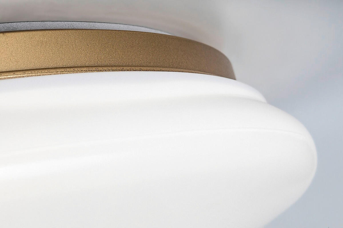 LED PLAFONJERA ZA KUPATILA - bela/zlatna, Osnovno, metal/plastika (41/39,5/10cm)