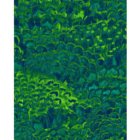VLIESTAPETE - Grün, Trend (200/250cm)