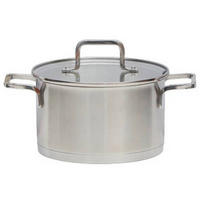 FLEISCHTOPF Topas 1,2 L  - Transparent/Silberfarben, Basics, Glas/Metall (14cm) - ELO