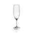 Sektglas-Set 6-teilig - Basics, Glas (0,22l) - Homeware Sektglas-Set 6-teilig - Basics, Glas (0,22l) - Homeware