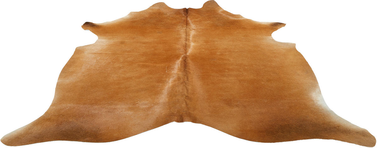 RINDERFELL 160/250 cm Braun  - Braun, Basics, Leder/Fell (160/250cm) - Linea Natura