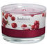DUFTKERZE Wild Cranberry - Klar/Beere, Basics, Glas (9/6,3cm) - Bolsius DUFTKERZE Wild Cranberry - Klar/Beere, Basics, Glas (9/6,3cm) - Bolsius