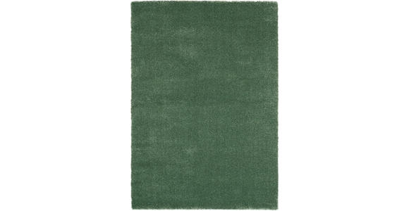 WEBTEPPICH 160/230 cm Grün  - Grün, Basics, Textil (160/230cm) - Novel