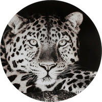 STEKLENA SLIKA   50 cm  - črna/bela, Basics, steklo (50cm)