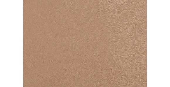 RELAXSESSEL in Leder Haselnussfarben  - Edelstahlfarben/Haselnussfarben, Design, Leder/Metall (76/119/86cm) - Dieter Knoll