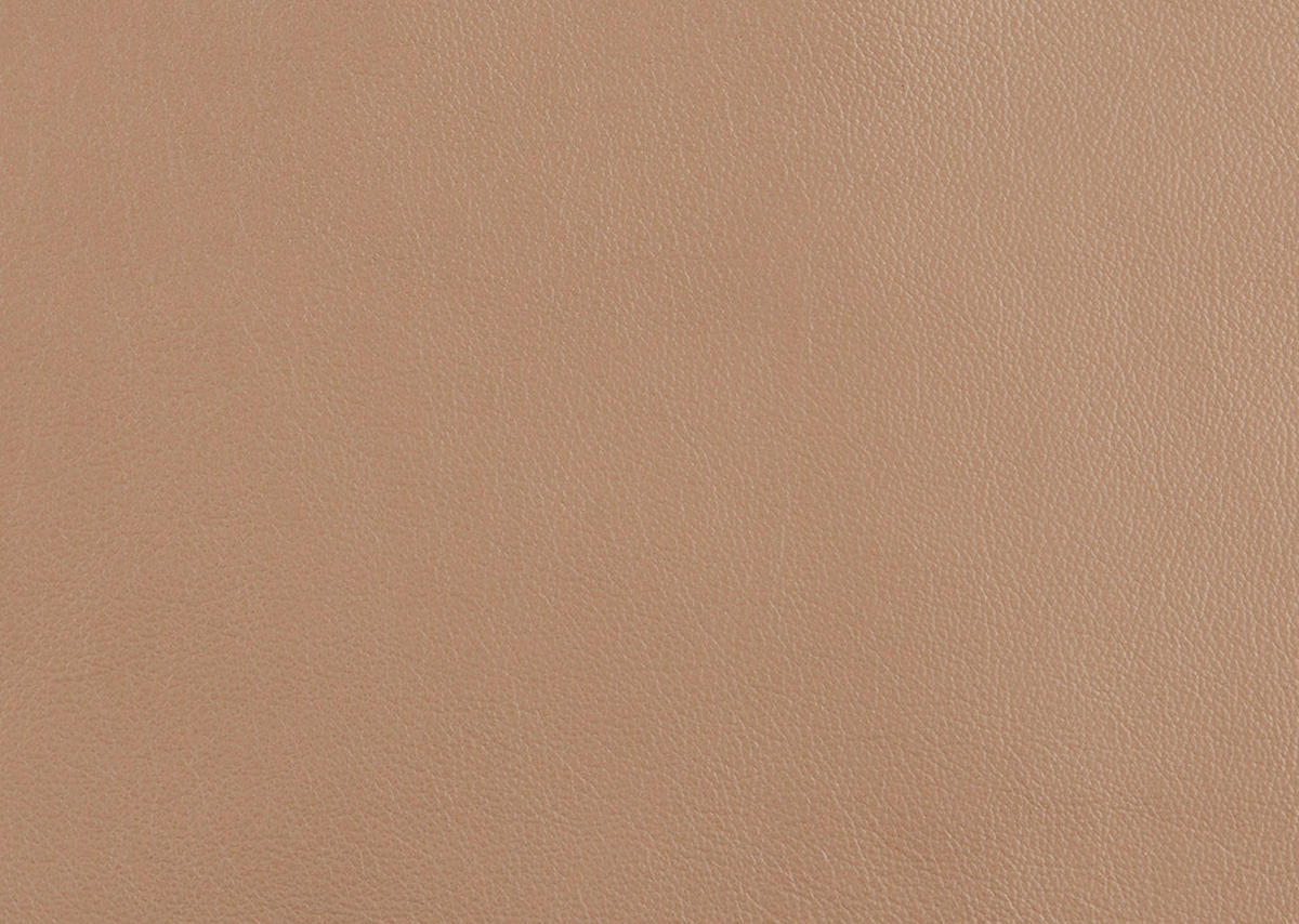 RELAXSESSEL in Leder Haselnussfarben  - Edelstahlfarben/Haselnussfarben, Design, Leder/Metall (76/119/86cm) - Dieter Knoll