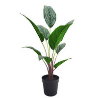 KUNSTPFLANZE 52 cm  - Terracotta/Schwarz, Basics, Kunststoff (52cm)